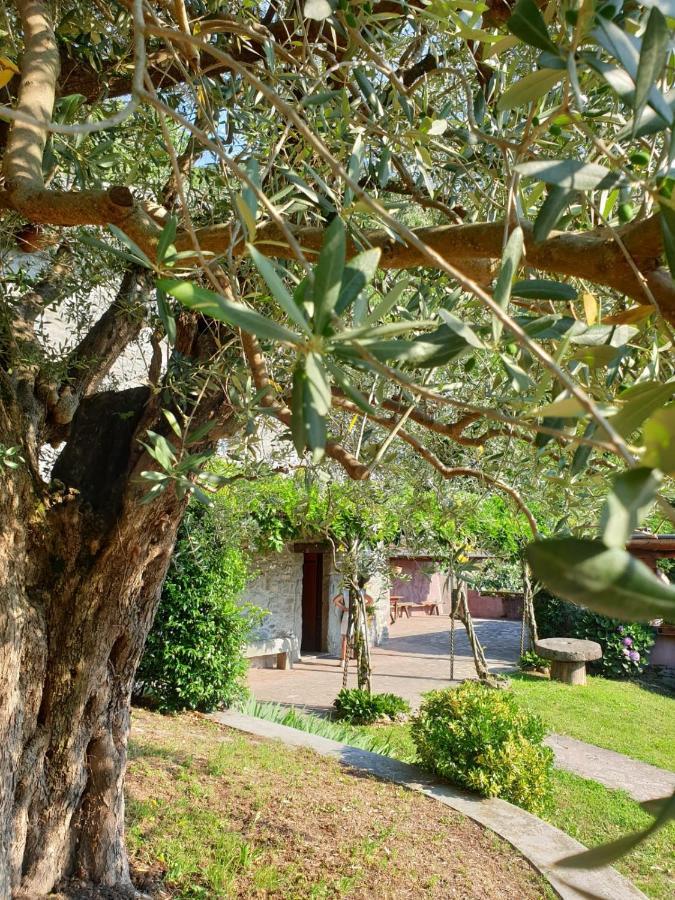 VILLA D'EPOCA le CAPÈLE Gratacasolo Extérieur photo