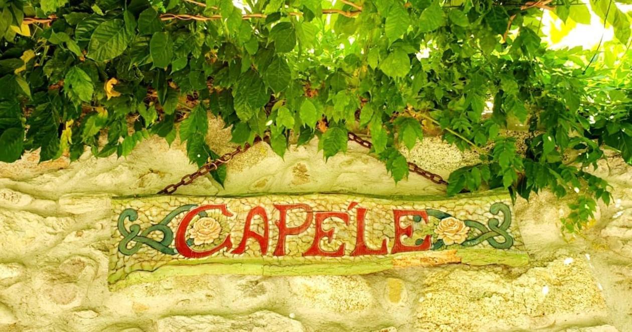 VILLA D'EPOCA le CAPÈLE Gratacasolo Extérieur photo